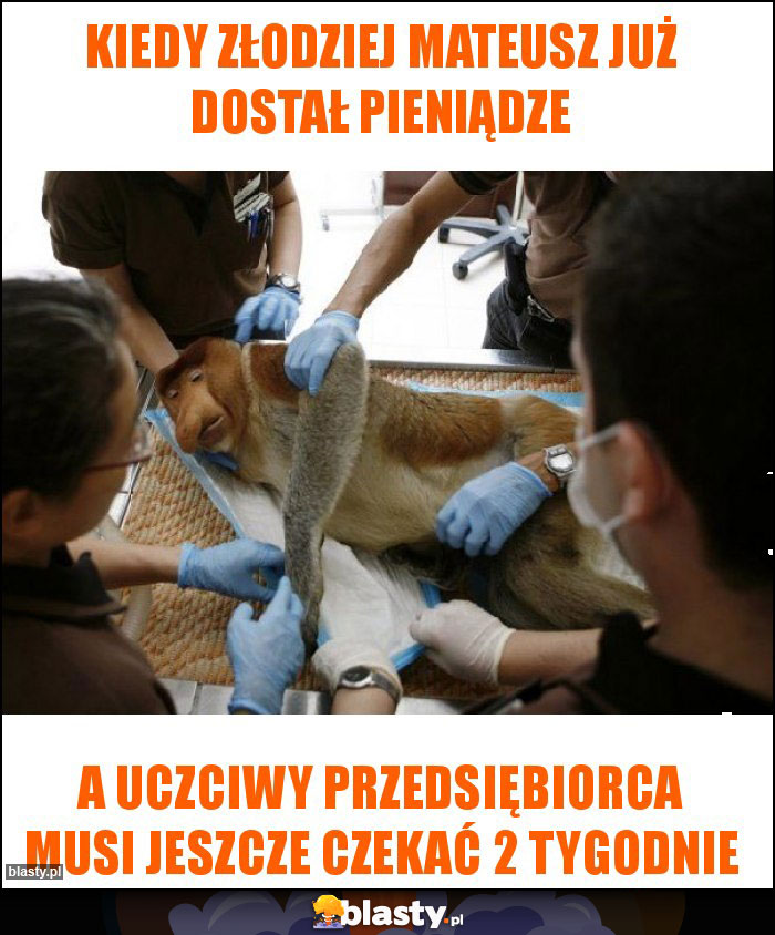 kiedy złodziej Mateusz już dostał pieniądze kiedy złodziej Mateusz już dostał pieniądze
