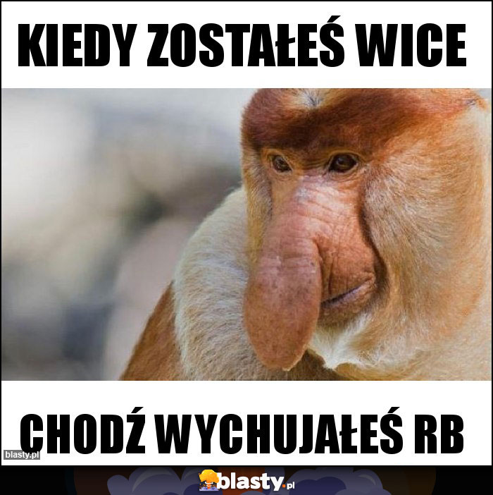 Kiedy zostałeś wice Kiedy zostałeś wice