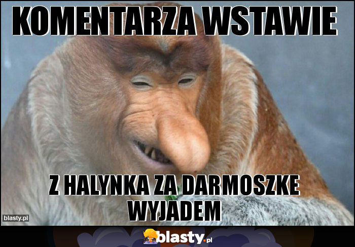 Komentarza wstawie Komentarza wstawie