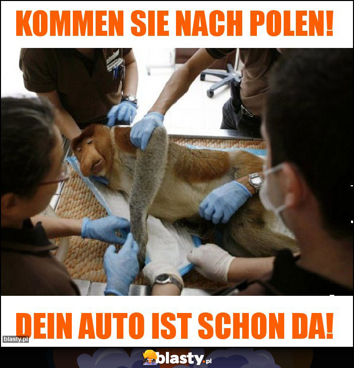 Kommen Sie nach Polen! Kommen Sie nach Polen!