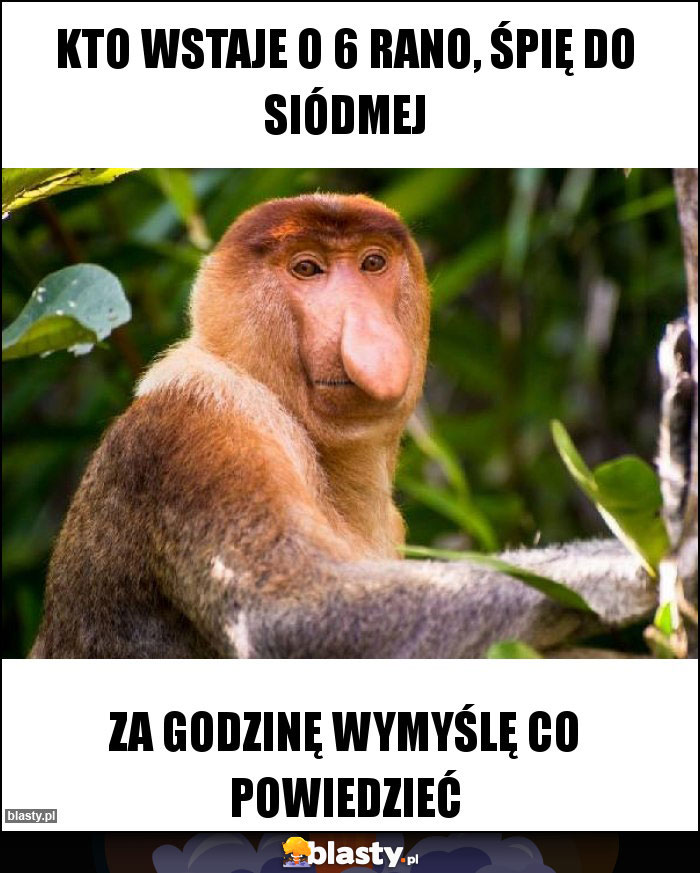 Kto wstaje o 6 rano, śpię do siódmej Kto wstaje o 6 rano, śpię do siódmej