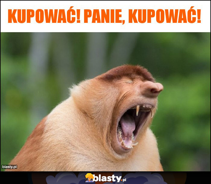 Kupować! Panie, Kupować! Kupować! Panie, Kupować!