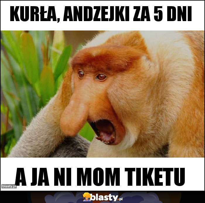 Kurła, Andzejki za 5 dni Kurła, Andzejki za 5 dni