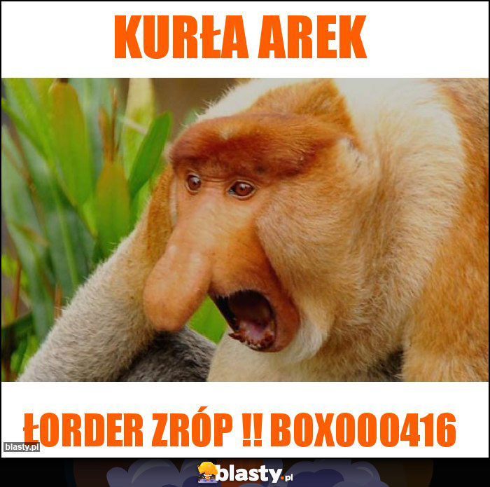 KURŁA AREK KURŁA AREK