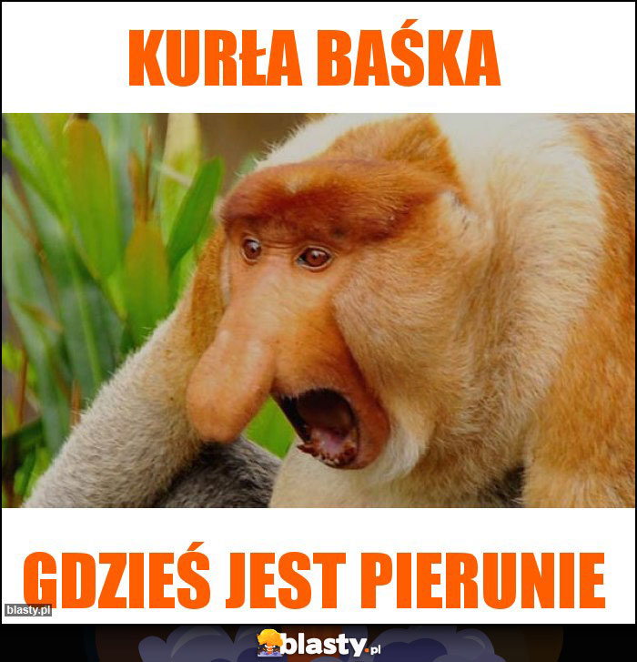 Kurła Baśka Kurła Baśka