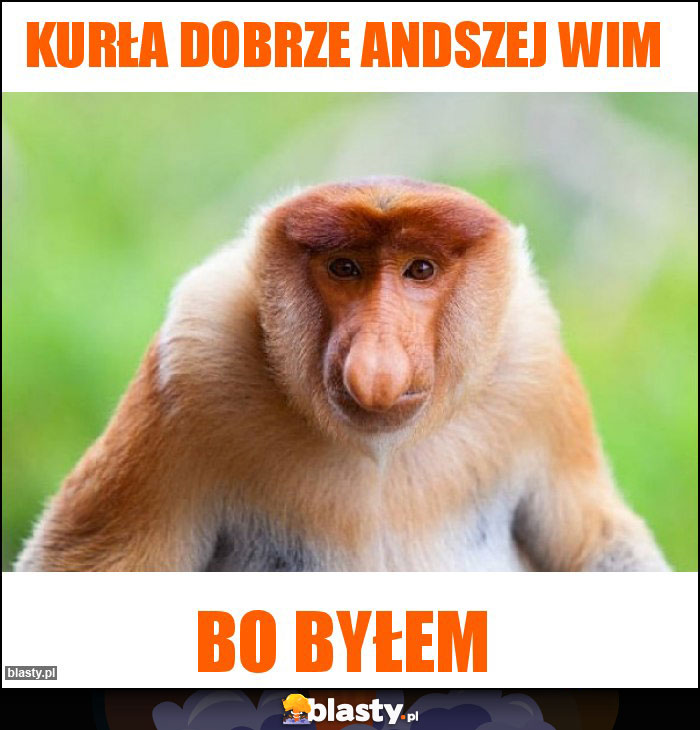 Kurła dobrze Andszej wim Kurła dobrze Andszej wim