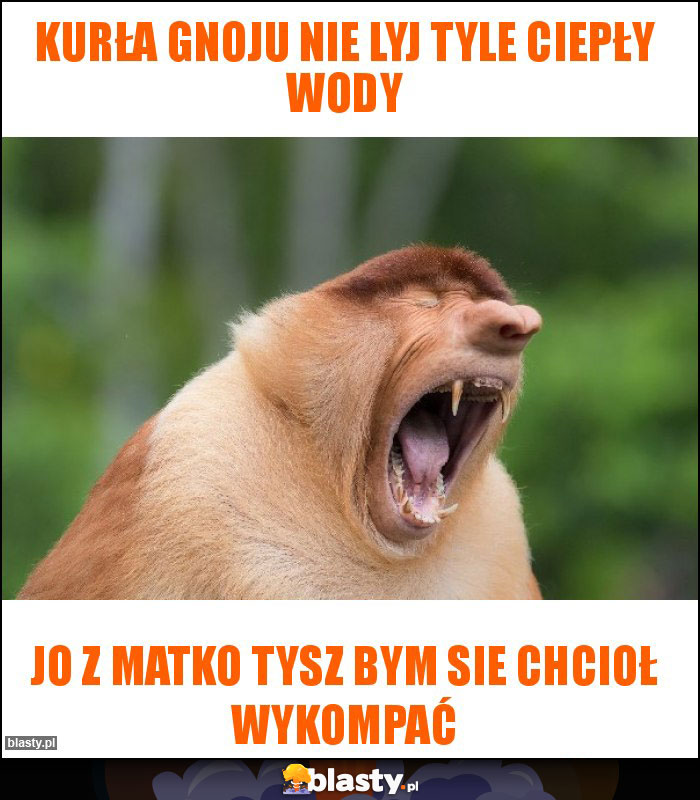 Kurła gnoju nie lyj tyle ciepły wody Kurła gnoju nie lyj tyle ciepły wody