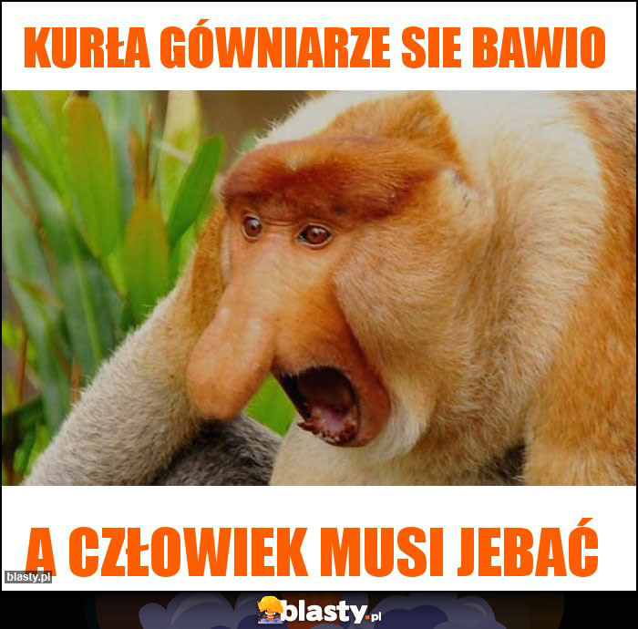 Kurła gówniarze sie bawio Kurła gówniarze sie bawio