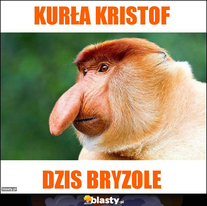 kurła kristof kurła kristof