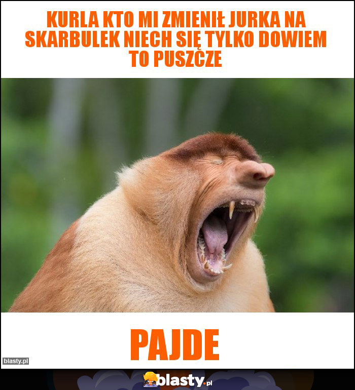 Kurla kto mi zmienił Jurka na Skarbulek niech się tylko dowiem to puszcze Kurla kto mi zmienił Jurka na Skarbulek niech się tylko dowiem to puszcze