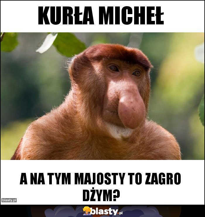 Kurła Micheł Kurła Micheł