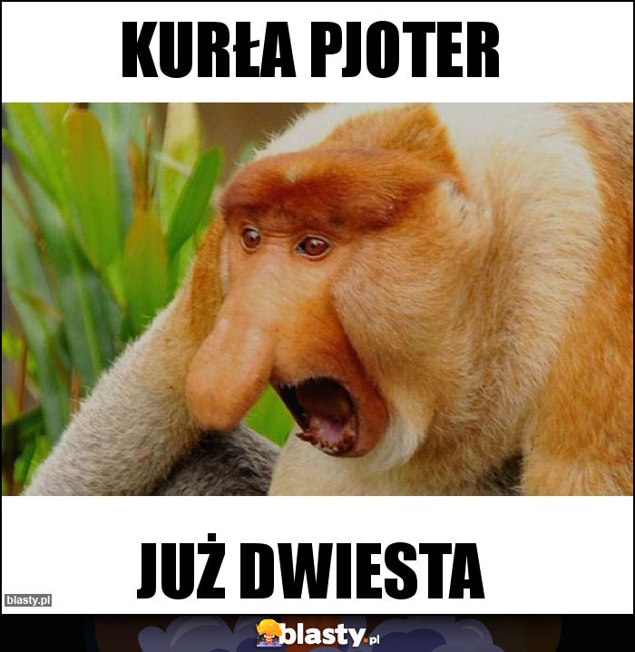Kurła pjoter Kurła pjoter