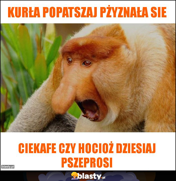 Kurła popatszaj pżyznała sie Kurła popatszaj pżyznała sie