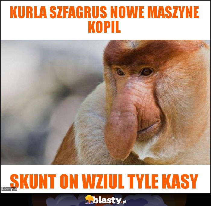 KURLA SZFAGRUS NOWE MASZYNE KoPIL KURLA SZFAGRUS NOWE MASZYNE KoPIL