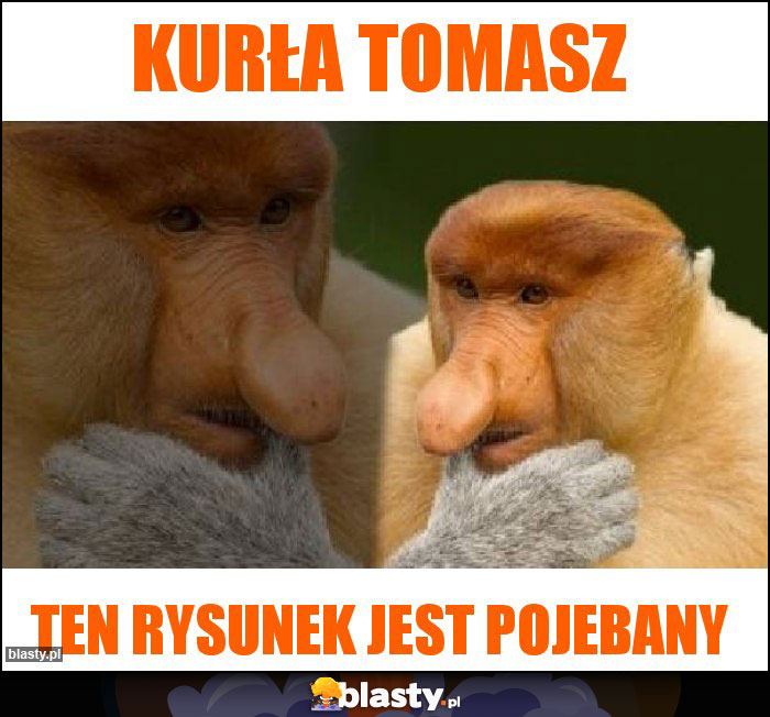 KURŁA Tomasz KURŁA Tomasz