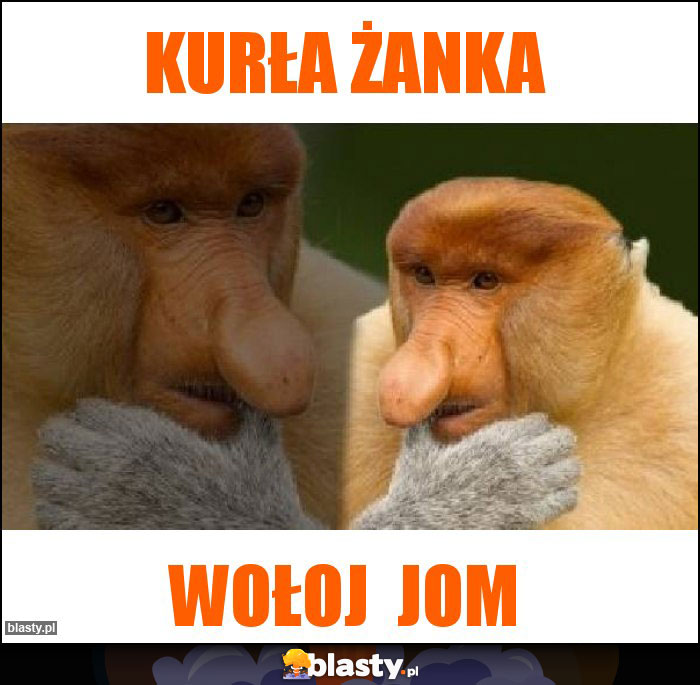 Kurła żanka Kurła żanka