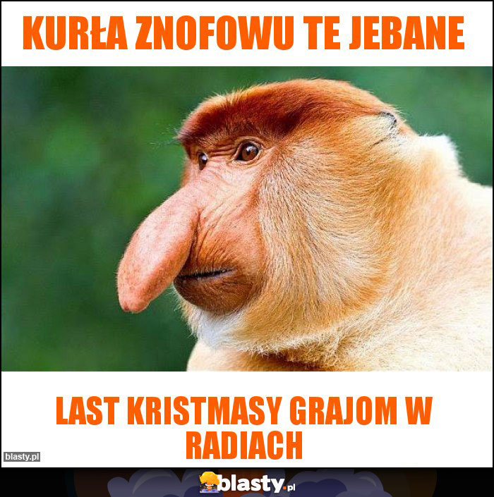 Kurła znofowu te jebane Kurła znofowu te jebane