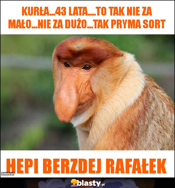Kurła...43 lata....to tak nie za mało...nie za dużo...tak pryma sort Kurła...43 lata....to tak nie za mało...nie za dużo...tak pryma sort