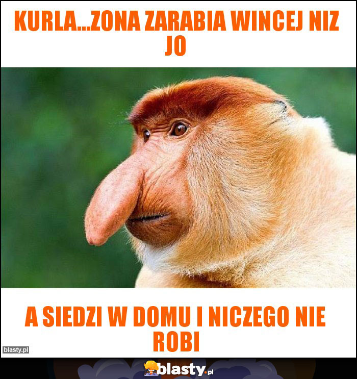 kurla...zona zarabia wincej niz jo kurla...zona zarabia wincej niz jo