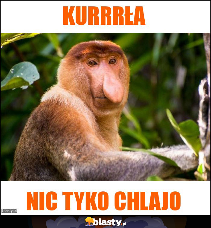 Kurrrła