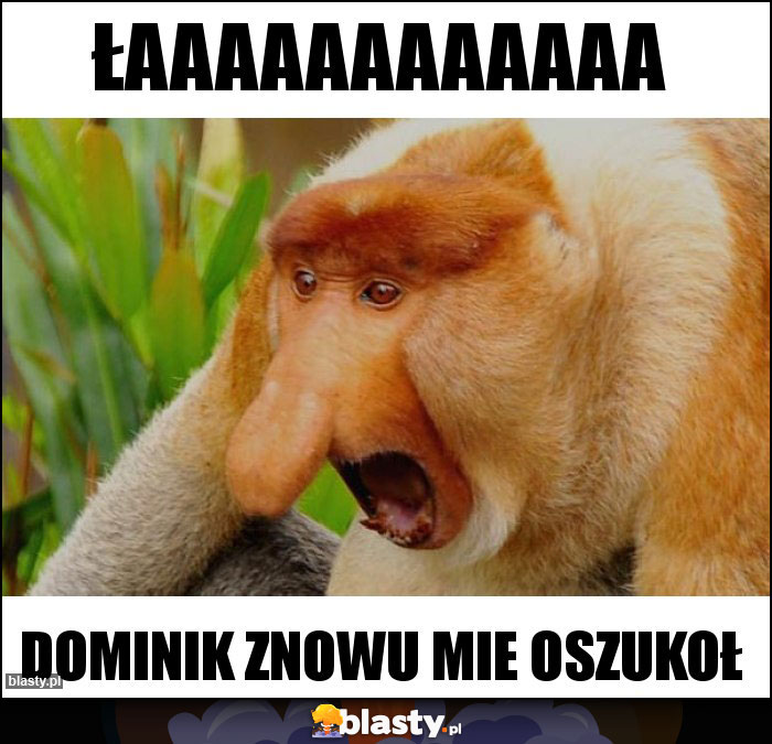 ŁAAAAAAAAaaaa ŁAAAAAAAAaaaa