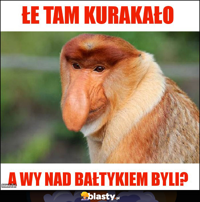 ŁE TAM KURAKAŁO ŁE TAM KURAKAŁO