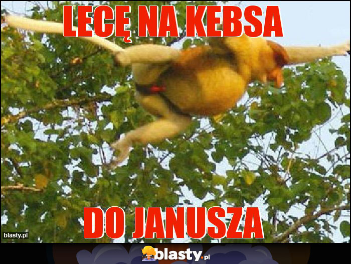Lecę na kebsa Lecę na kebsa