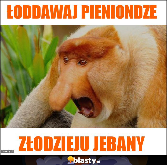 łoddawaj pieniondze łoddawaj pieniondze