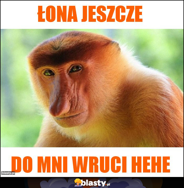 ŁONA JESZCZE ŁONA JESZCZE