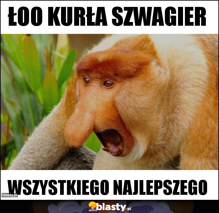 ŁOO KURŁA SZWAGIER ŁOO KURŁA SZWAGIER
