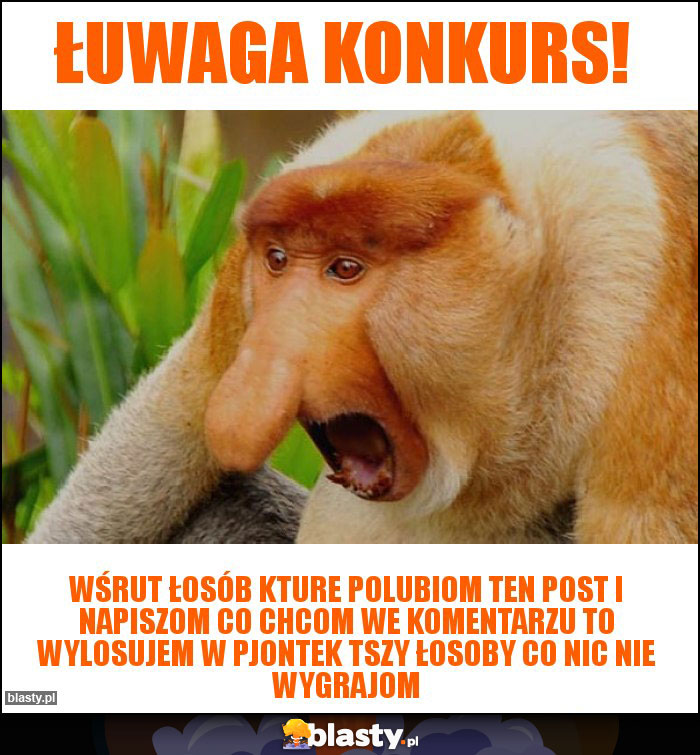 ŁUWAGA KONKURS! ŁUWAGA KONKURS!