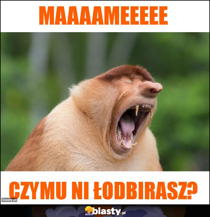 Maaaameeeee Maaaameeeee