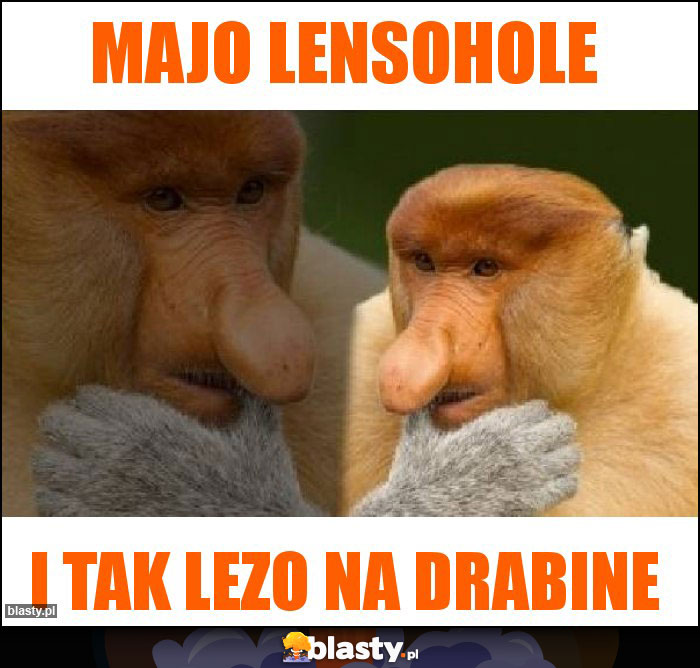 MAJO LENSOHOLE MAJO LENSOHOLE