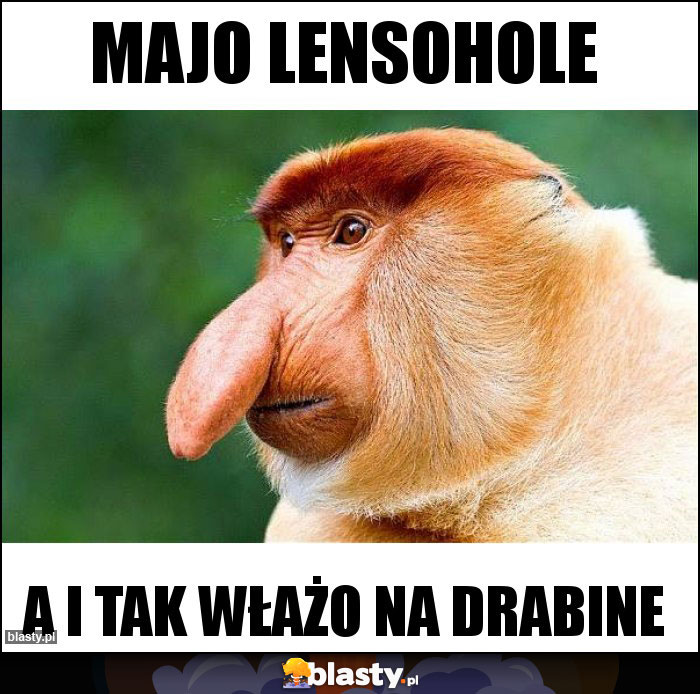 MAJO LENSOHOLE MAJO LENSOHOLE