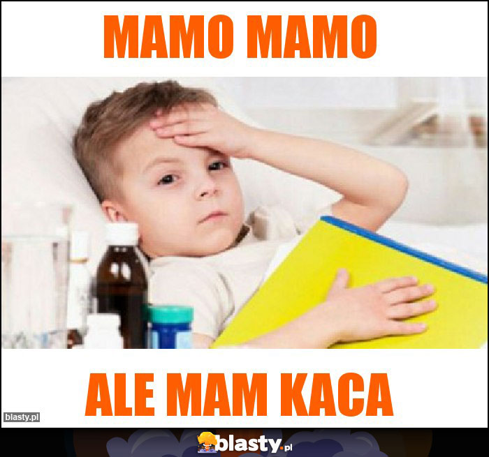 MAMO MAMO