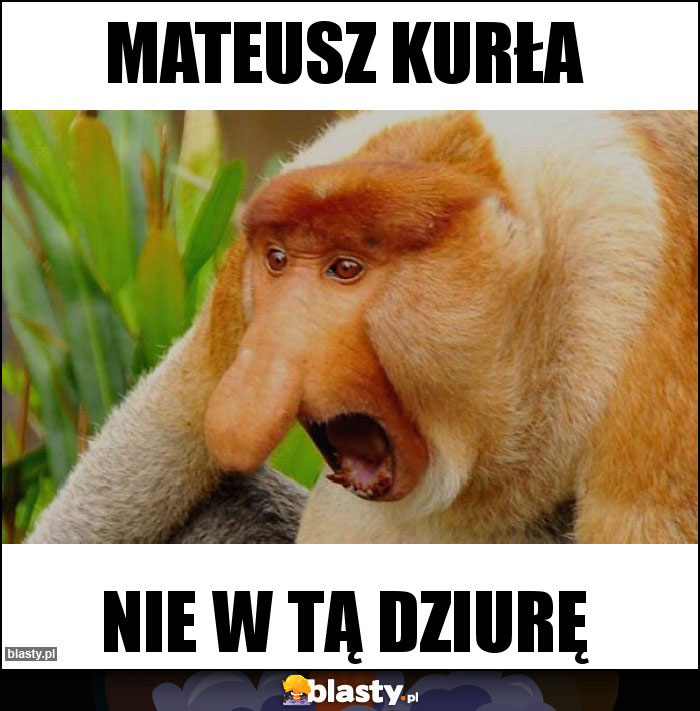 Mateusz kurła Mateusz kurła