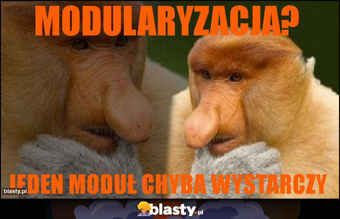 Modularyzacja? Modularyzacja?