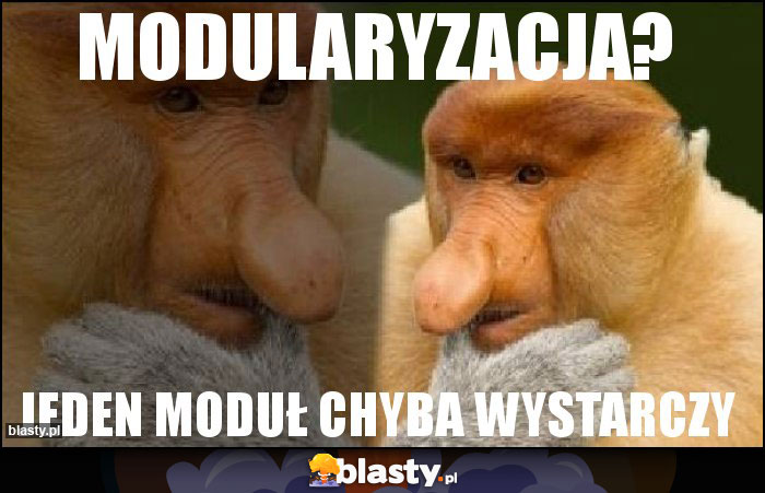 Modularyzacja? Modularyzacja?