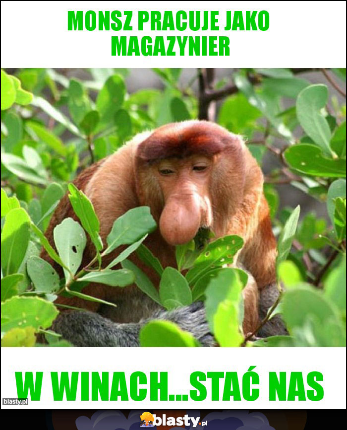Monsz pracuje jako magazynier Monsz pracuje jako magazynier