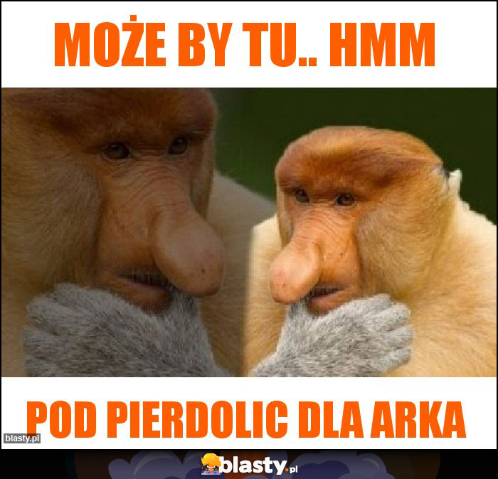 Może by tu.. Hmm Może by tu.. Hmm
