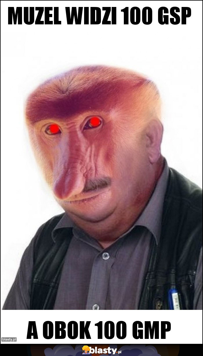 Muzel widzi 100 GSP Muzel widzi 100 GSP