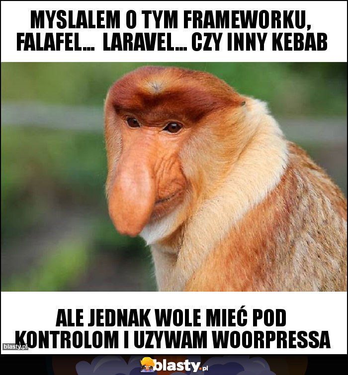 myslalem o tym frameworku, falafel... laravel... czy inny kebab myslalem o tym frameworku, falafel... laravel... czy inny kebab