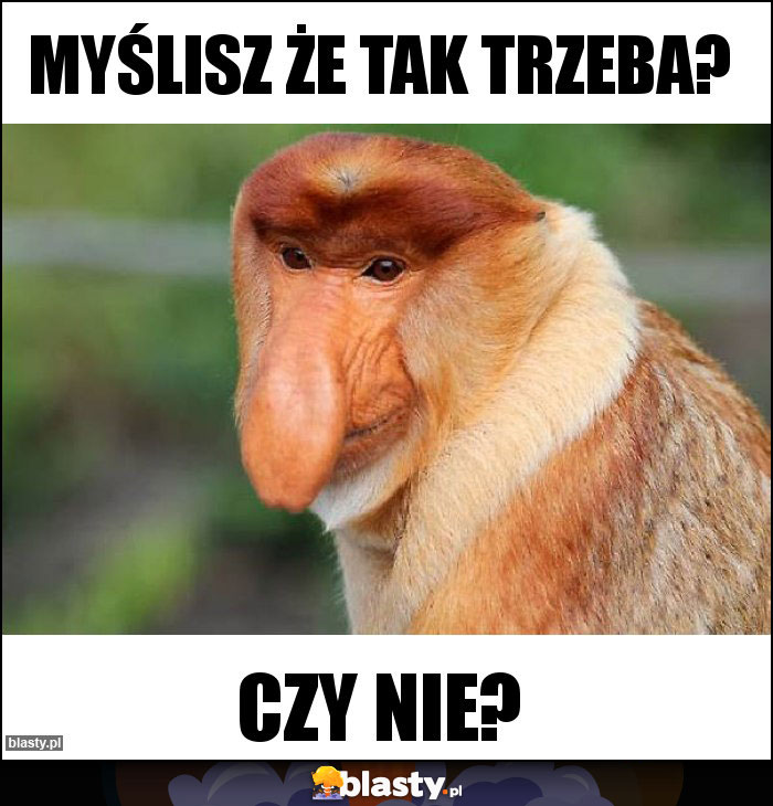 Myślisz że tak trzeba? Myślisz że tak trzeba?