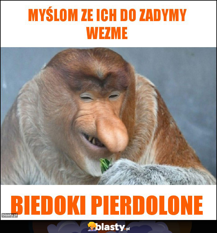 Myślom ze ich do zadymy wezme Myślom ze ich do zadymy wezme