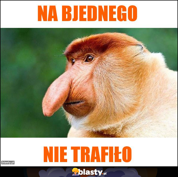 Na bjednego Na bjednego