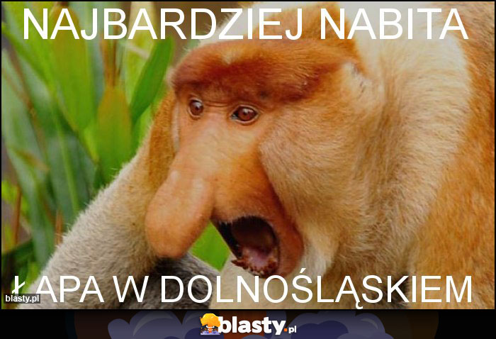 najbardziej nabita najbardziej nabita