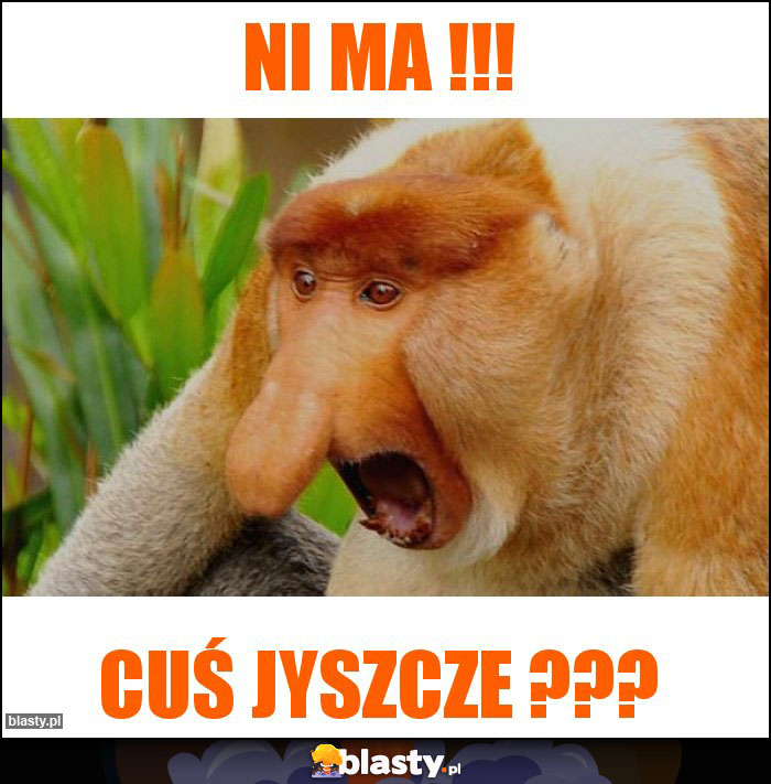 ni ma !!!