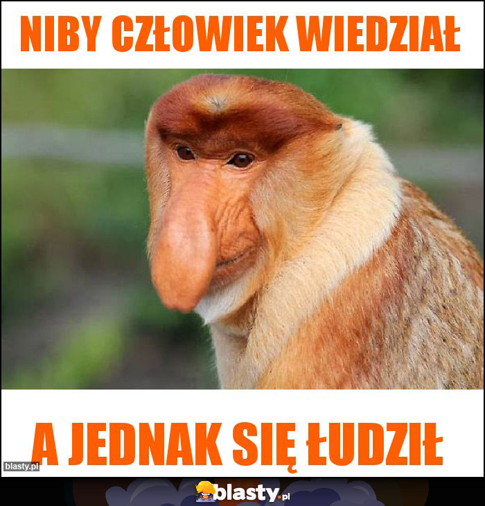 Niby człowiek wiedział Niby człowiek wiedział