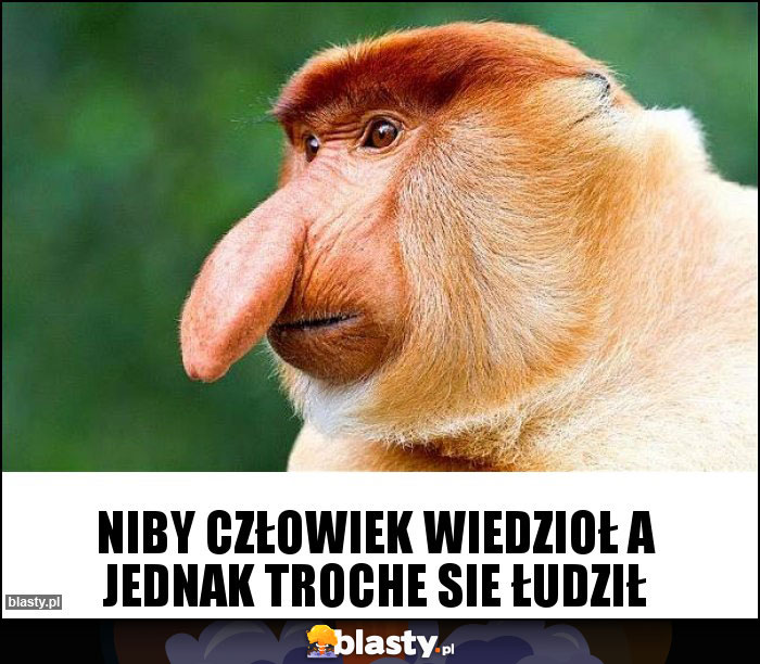 niby-czlowiek-wiedziol-a-jednak_2018-11-