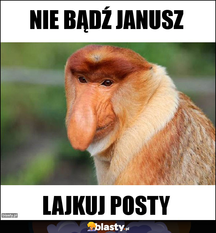 Nie bądź Janusz Nie bądź Janusz